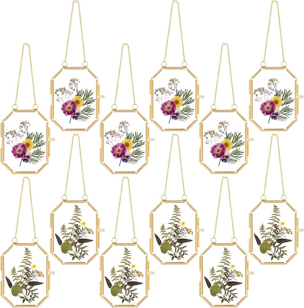 Gold-framed glass pressed flower hanging frames